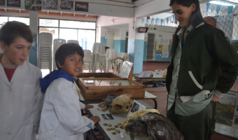 Celebrando al Medio ambiente